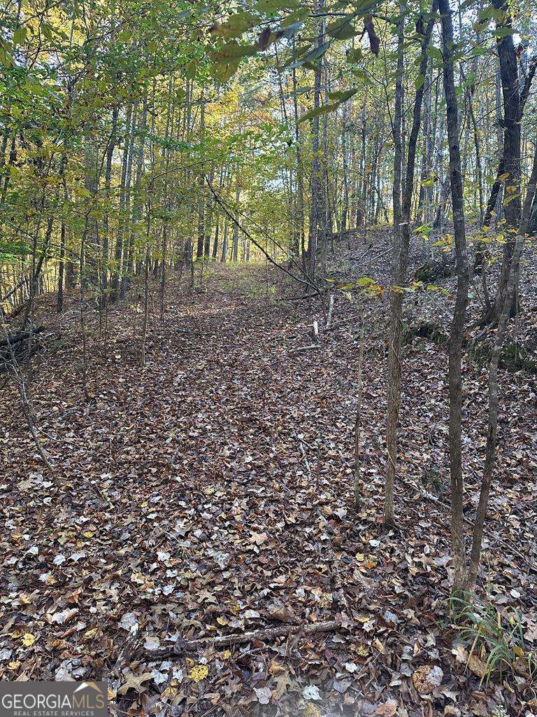 Lot #1 Frontier Shores Road Sparta GA 31087