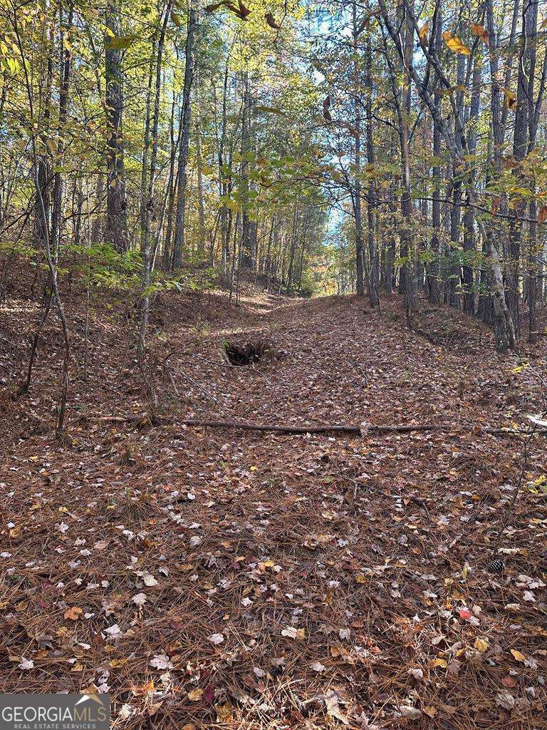 Lot #1 Frontier Shores Road Sparta GA 31087