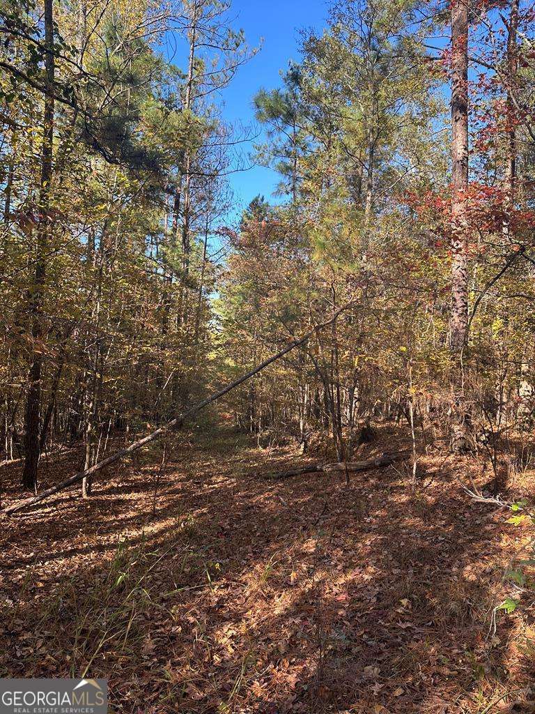 Lot #1 Frontier Shores Road Sparta GA 31087