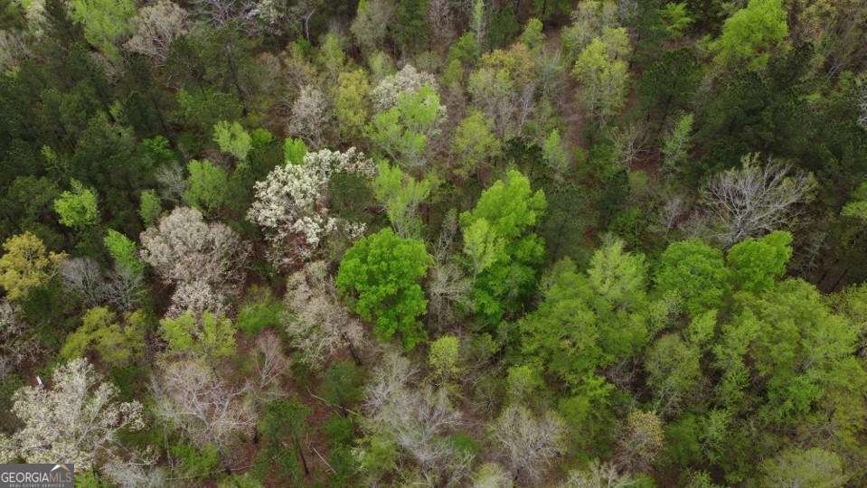 Lot #1 Frontier Shores Road Sparta GA 31087