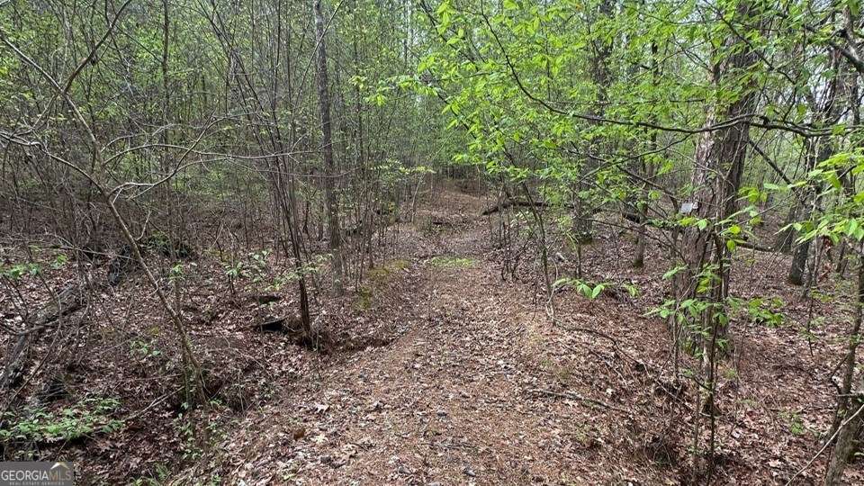 Lot #1 Frontier Shores Road Sparta GA 31087