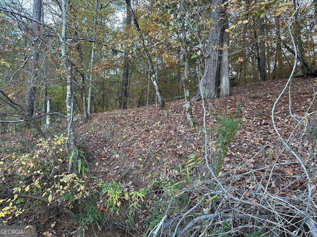 Lot #1 Frontier Shores Road Sparta GA 31087