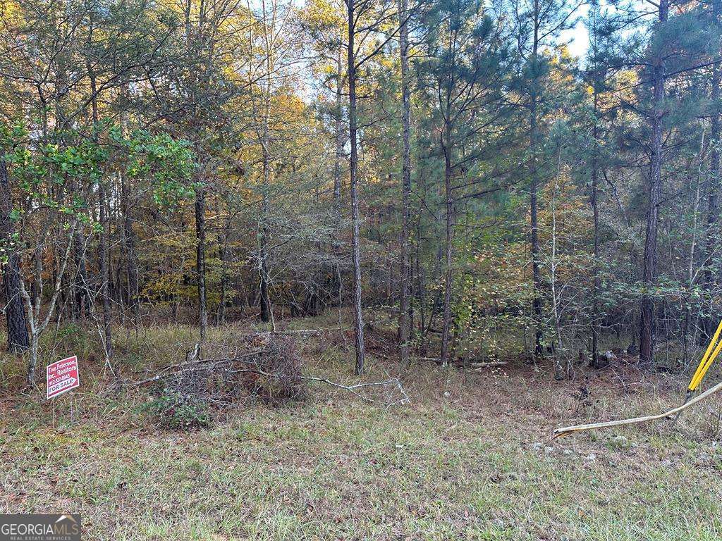 Lot #1 Frontier Shores Road Sparta GA 31087