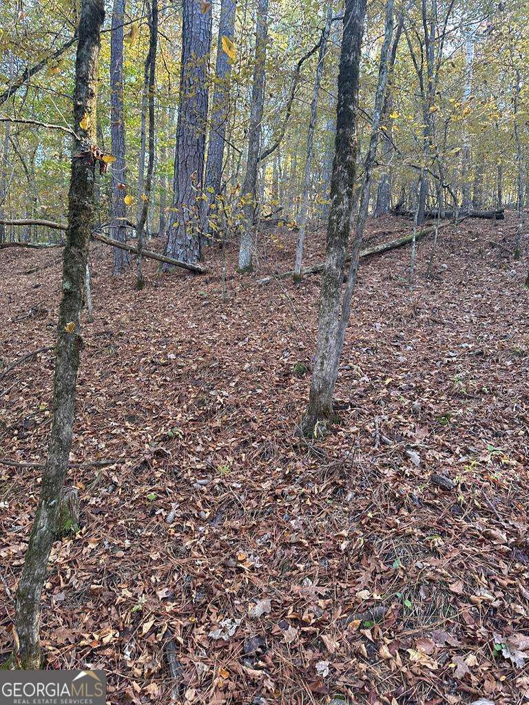 Lot #1 Frontier Shores Road Sparta GA 31087