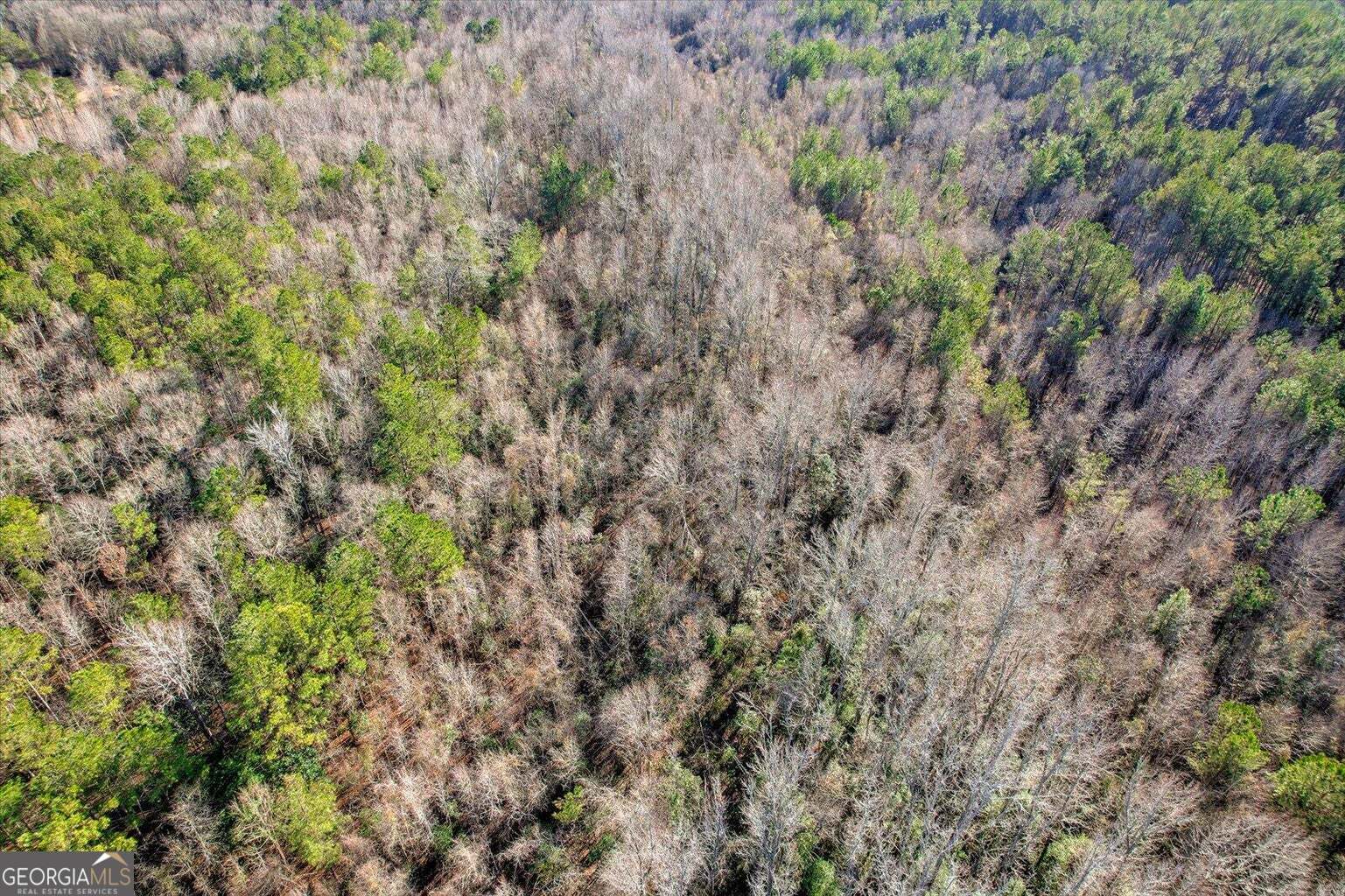 0 Wrens Highway Thomson GA 30824