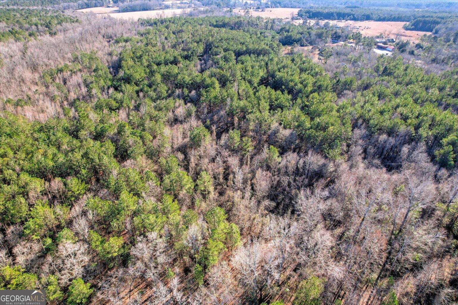 0 Wrens Highway Thomson GA 30824