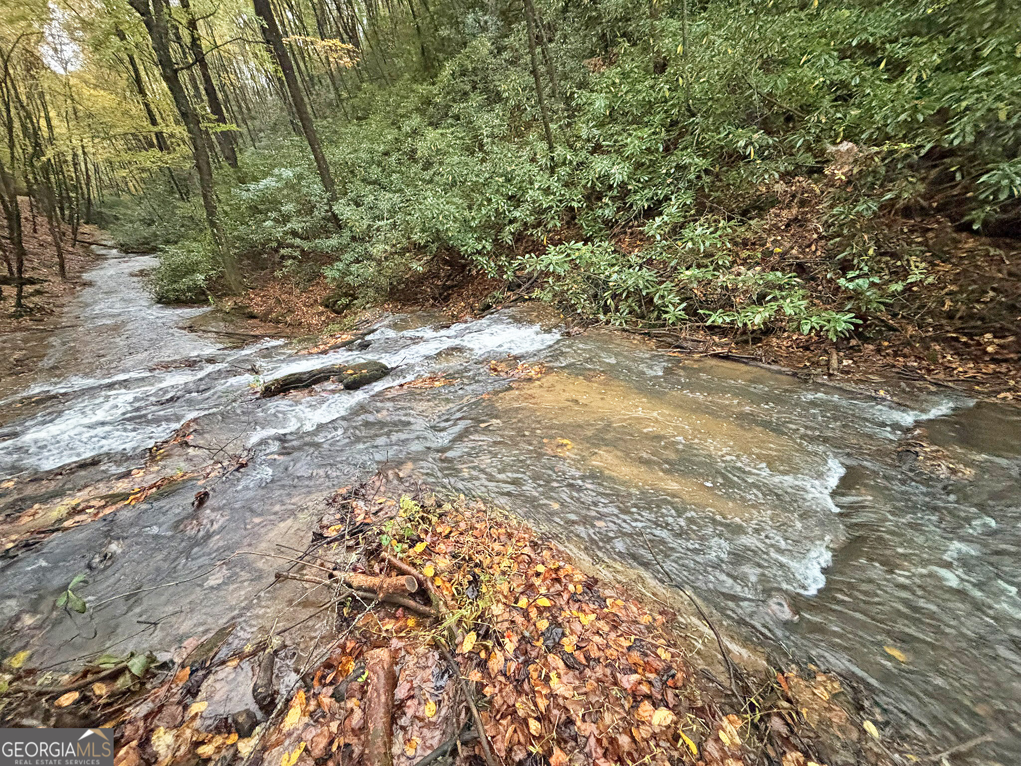 137 Faircloth Drive Blue Ridge GA 30513