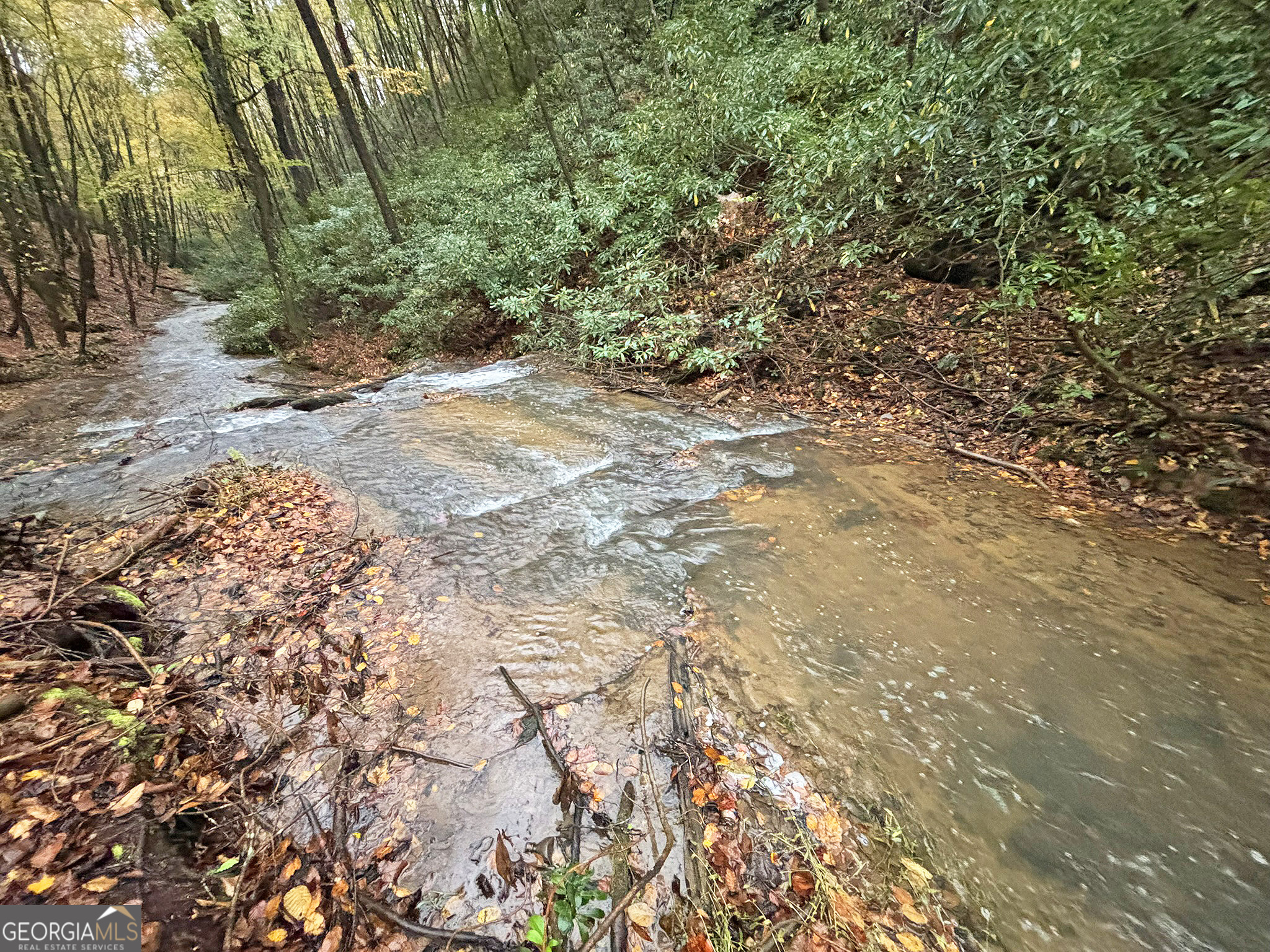 137 Faircloth Drive Blue Ridge GA 30513