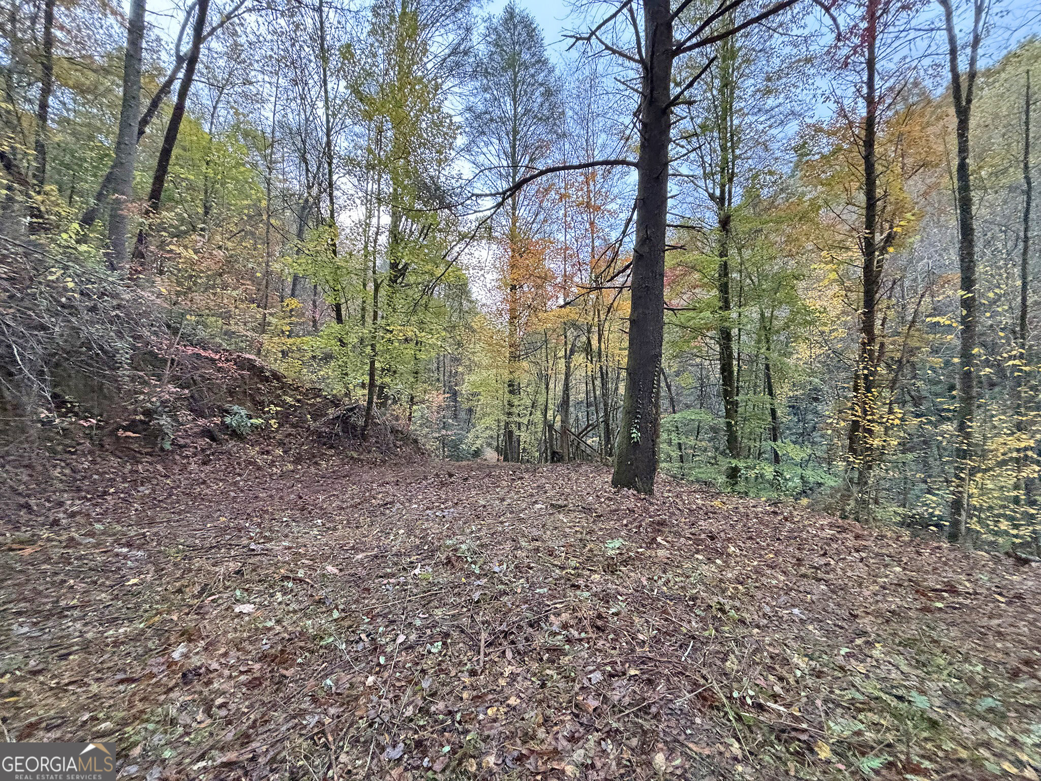 137 Faircloth Drive Blue Ridge GA 30513