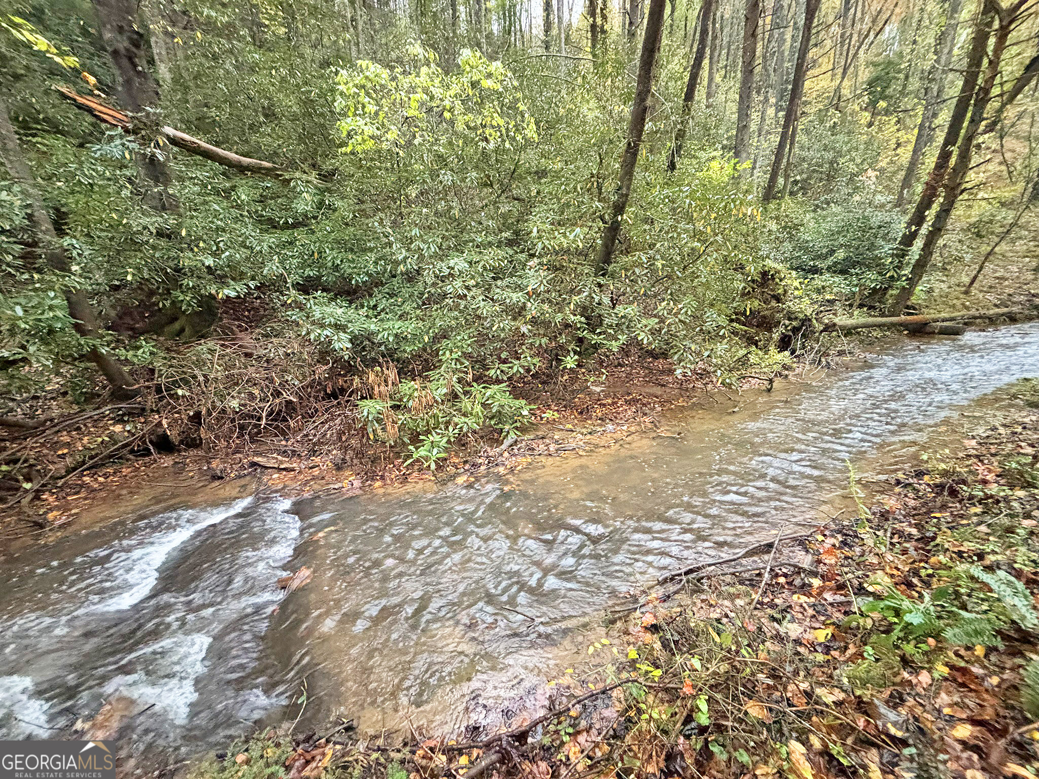 137 Faircloth Drive Blue Ridge GA 30513