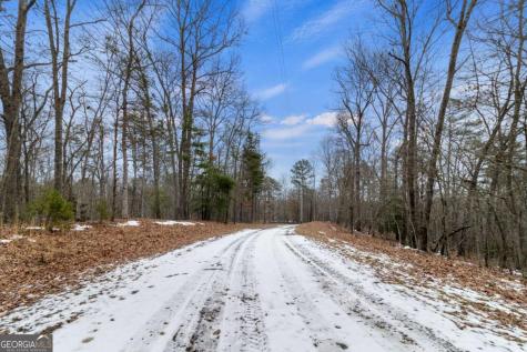 TR4 Curtis Ridge Road Blue Ridge GA 30513