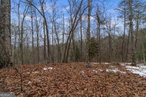 TR4 Curtis Ridge Road Blue Ridge GA 30513