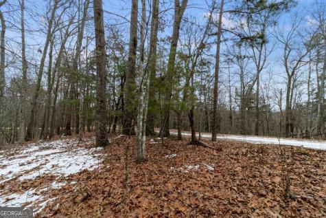 TR4 Curtis Ridge Road Blue Ridge GA 30513
