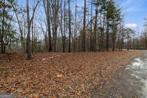TR4 Curtis Ridge Road Blue Ridge GA 30513