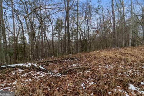 TR4 Curtis Ridge Road Blue Ridge GA 30513