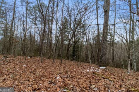 TR4 Curtis Ridge Road Blue Ridge GA 30513