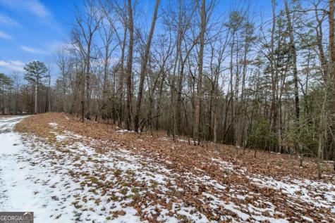 TR4 Curtis Ridge Road Blue Ridge GA 30513