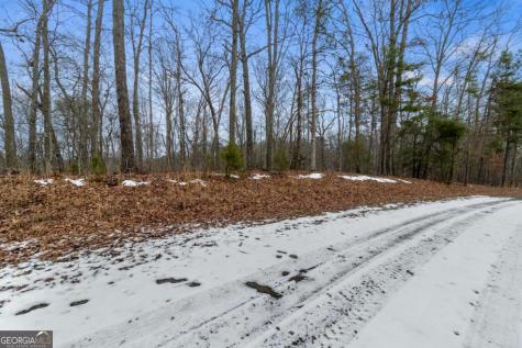 TR4 Curtis Ridge Road Blue Ridge GA 30513