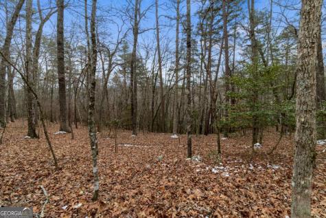 TR4 Curtis Ridge Road Blue Ridge GA 30513