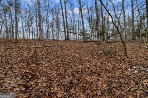 TR4 Curtis Ridge Road Blue Ridge GA 30513