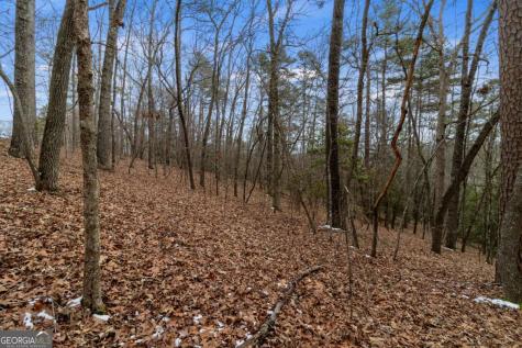 TR4 Curtis Ridge Road Blue Ridge GA 30513