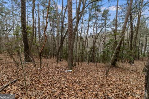 TR4 Curtis Ridge Road Blue Ridge GA 30513