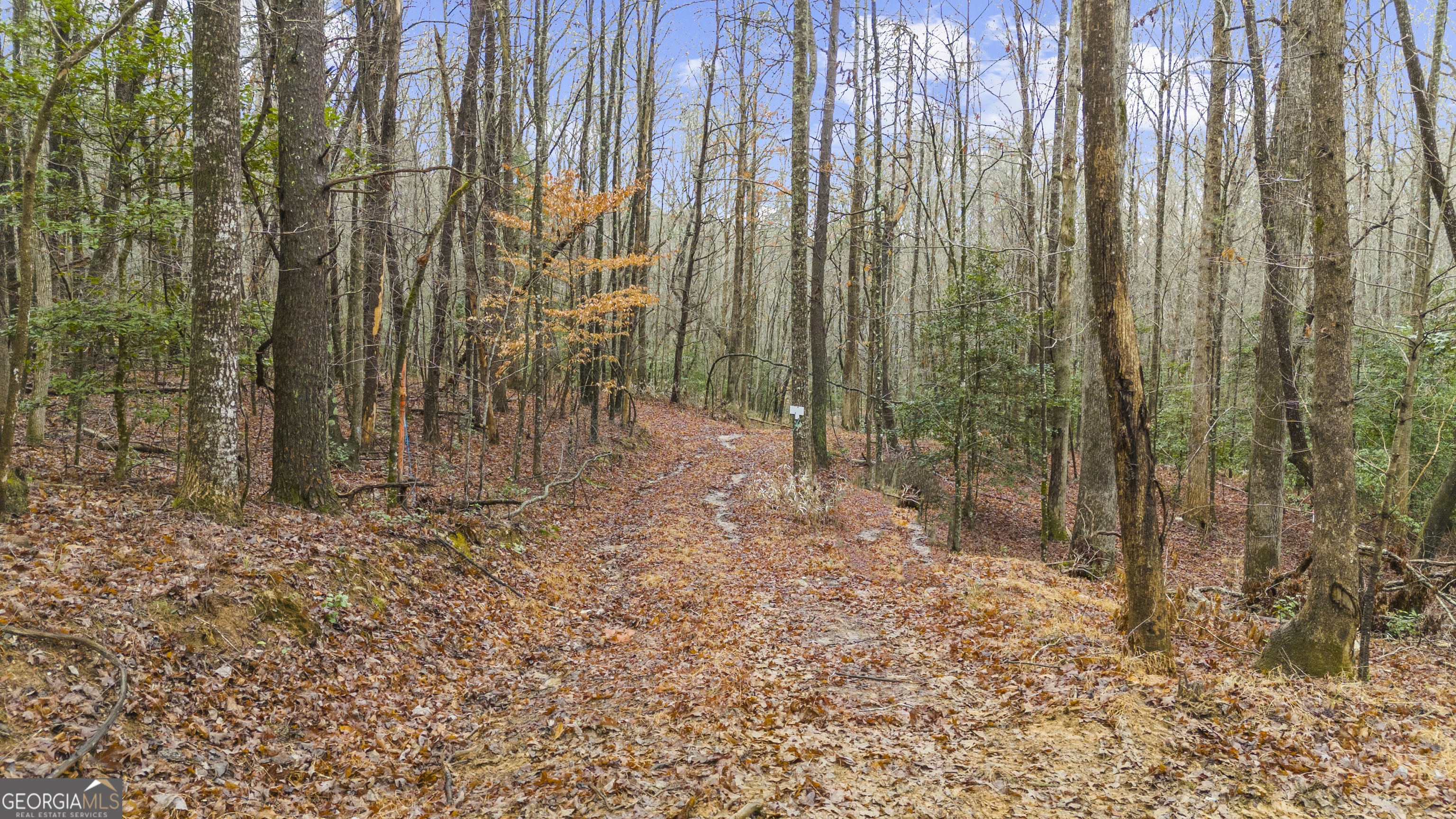 Lot 5 Still Road Dahlonega GA 30533
