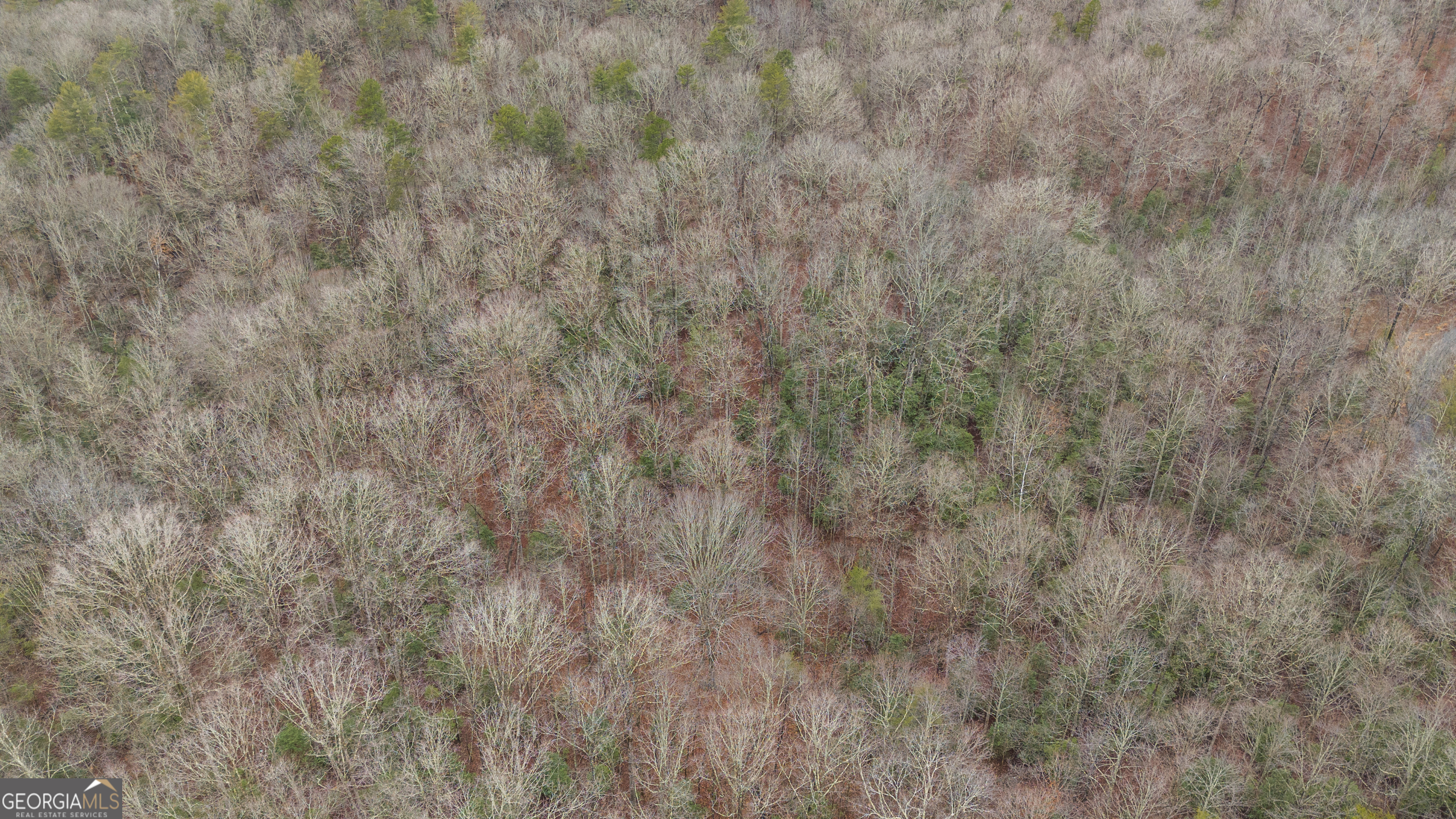 Lot 5 Still Road Dahlonega GA 30533