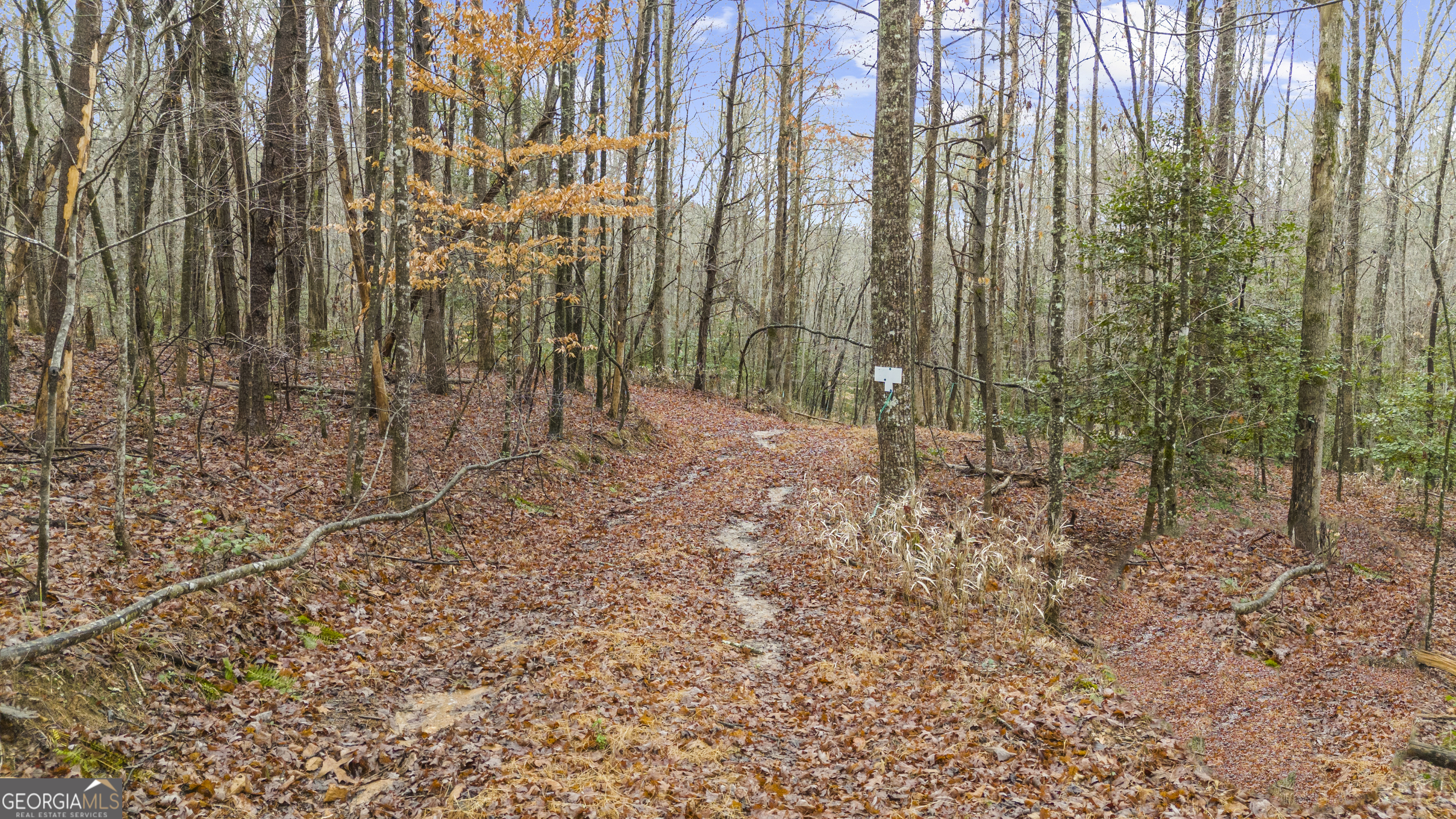 Lot 5 Still Road Dahlonega GA 30533