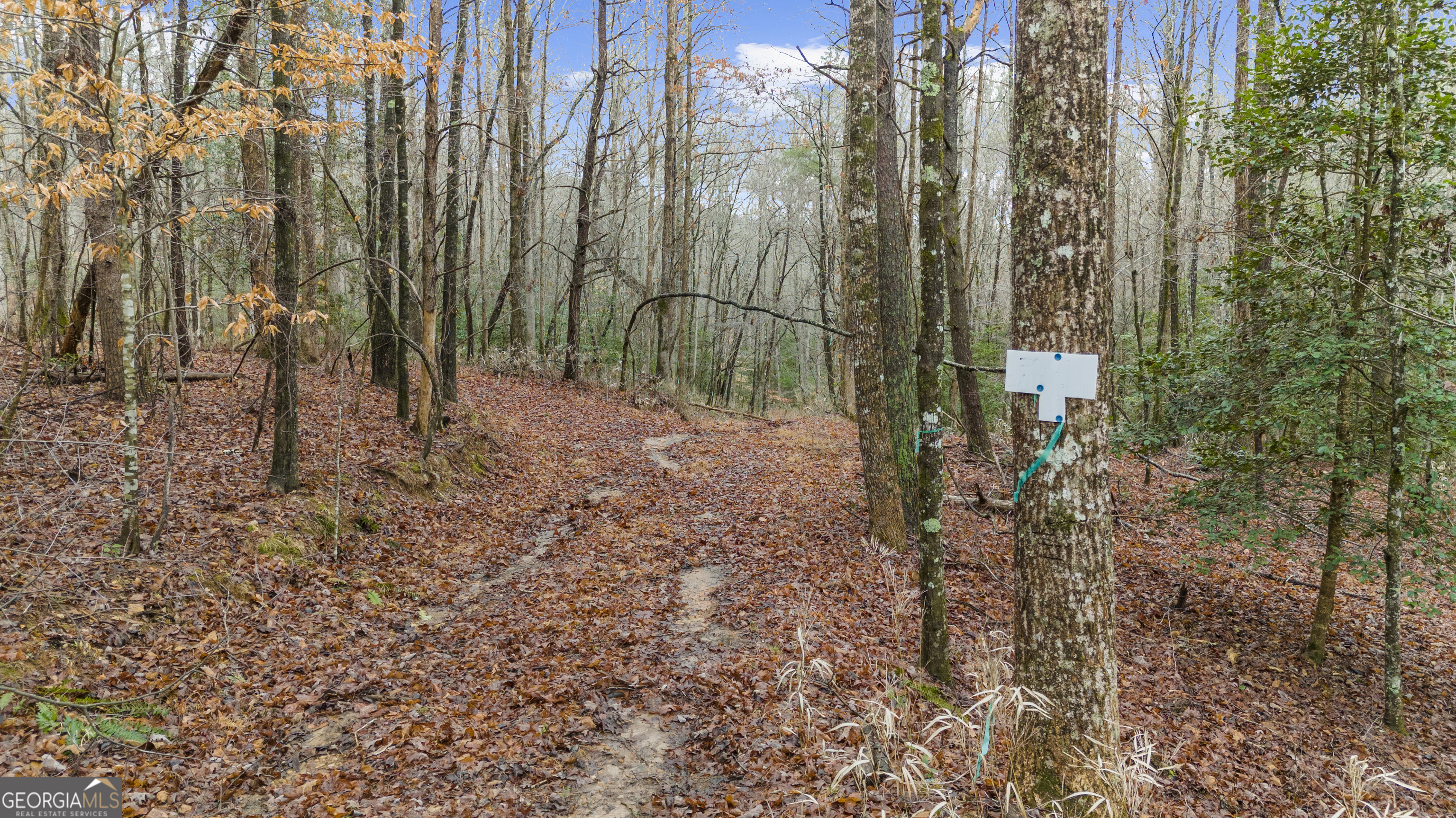Lot 5 Still Road Dahlonega GA 30533