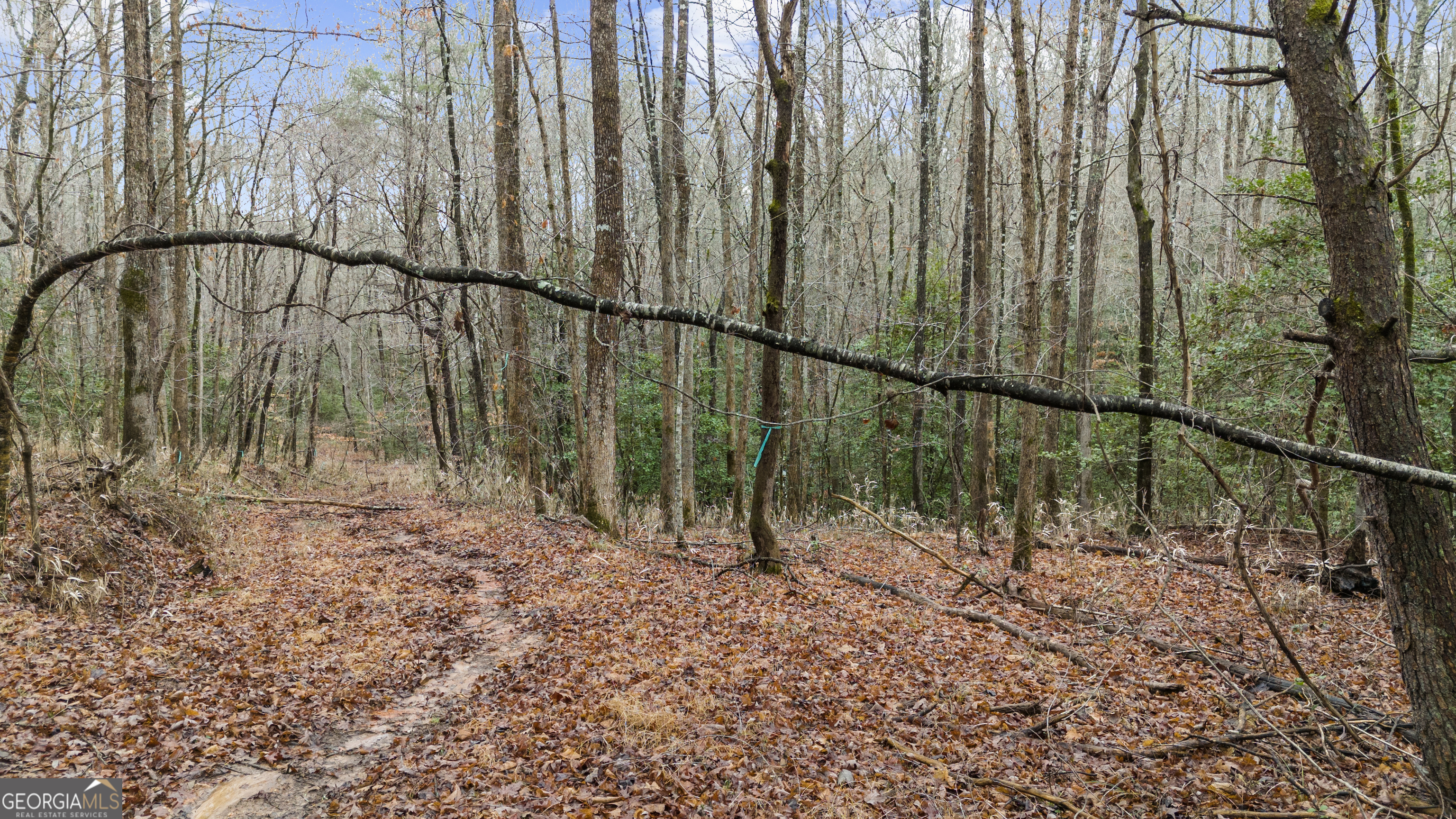Lot 5 Still Road Dahlonega GA 30533