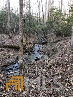 Lot 5 Still Road Dahlonega GA 30533
