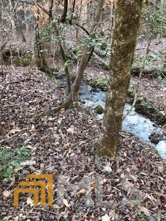 Lot 5 Still Road Dahlonega GA 30533