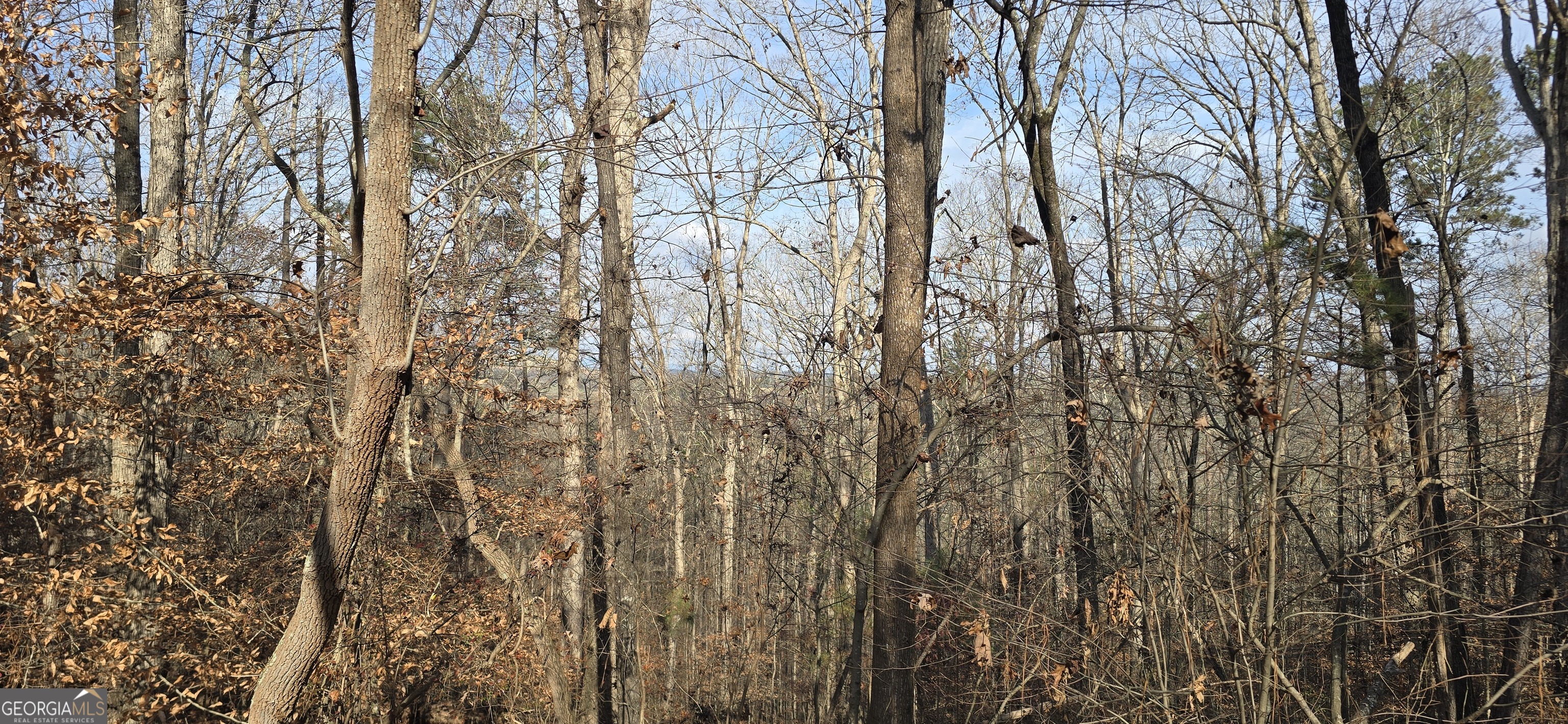00001 Matt Highway Ball Ground GA 30107