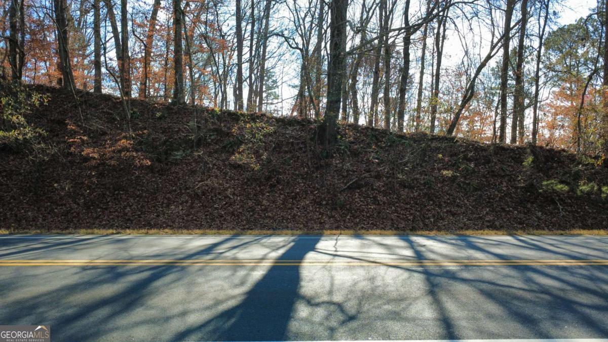 00001 Matt Highway Ball Ground GA 30107