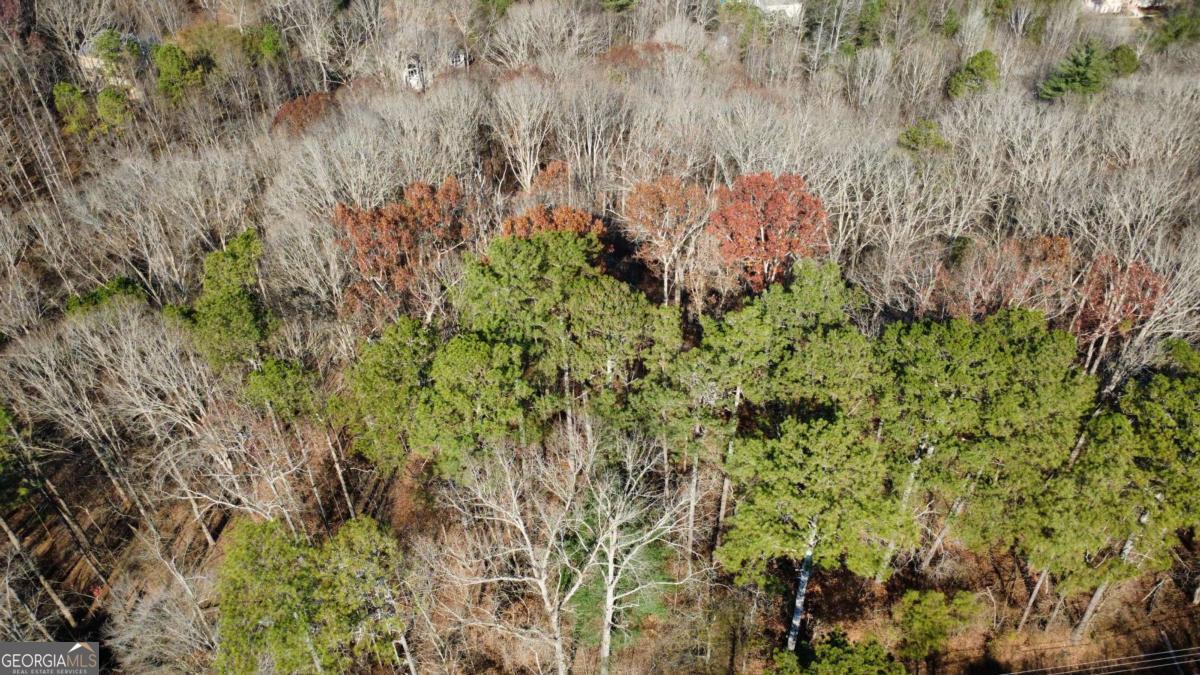 00001 Matt Highway Ball Ground GA 30107