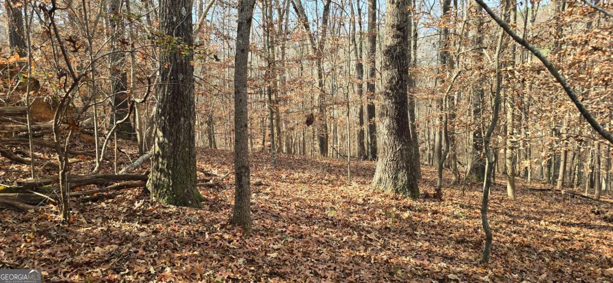 00001 Matt Highway Ball Ground GA 30107
