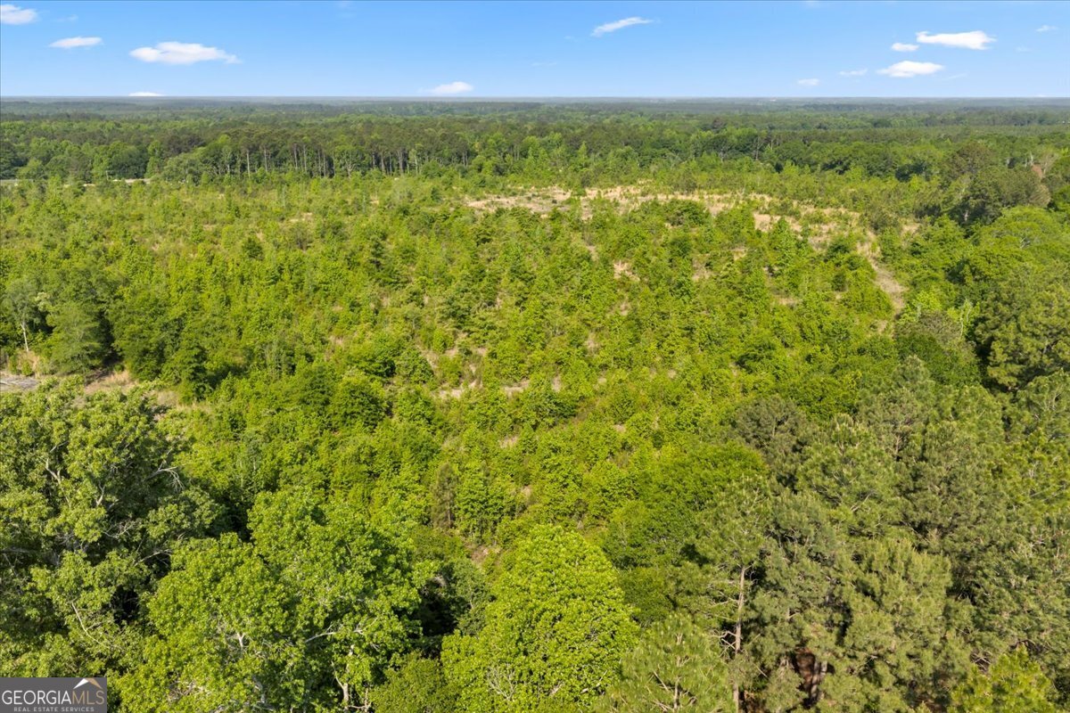 3150 S Highway 441 Rentz GA 31075