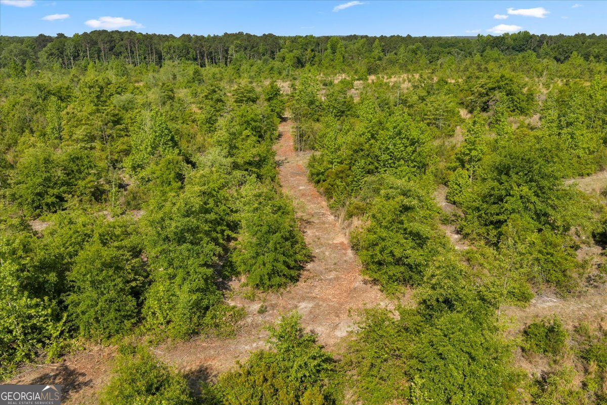 3150 S Highway 441 Rentz GA 31075