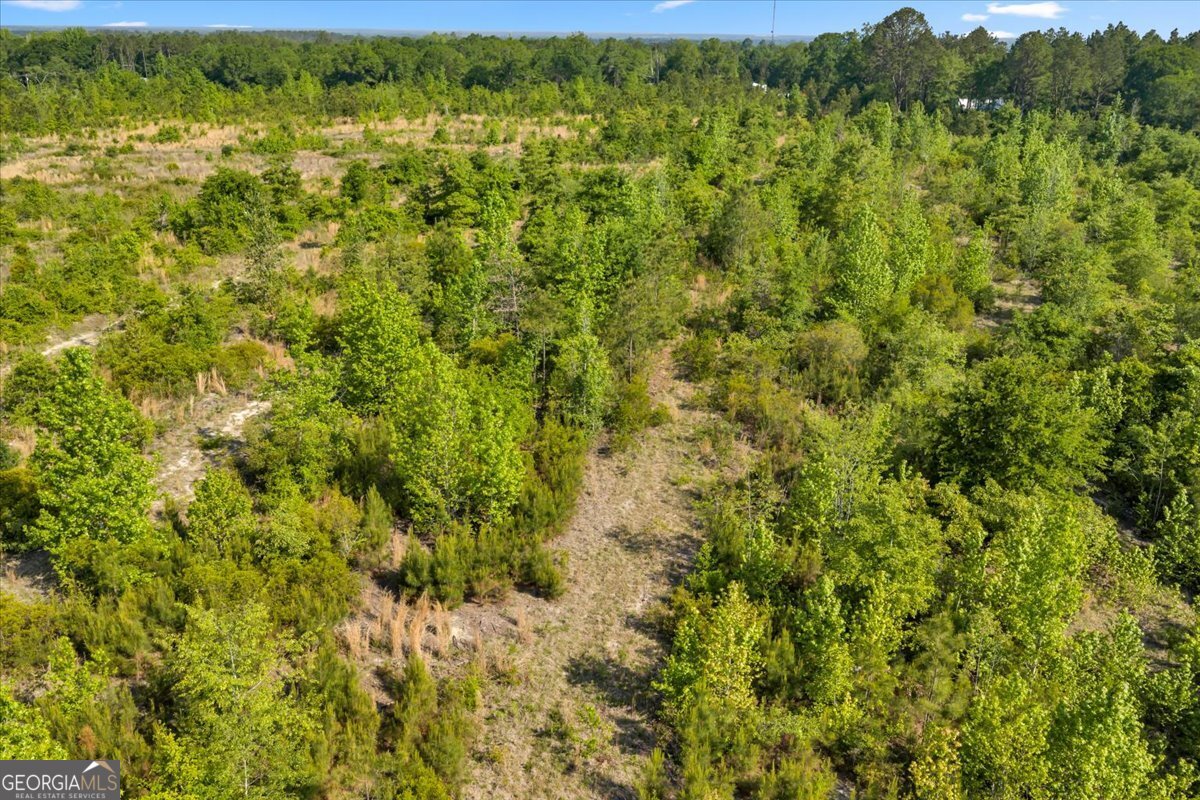 3150 S Highway 441 Rentz GA 31075