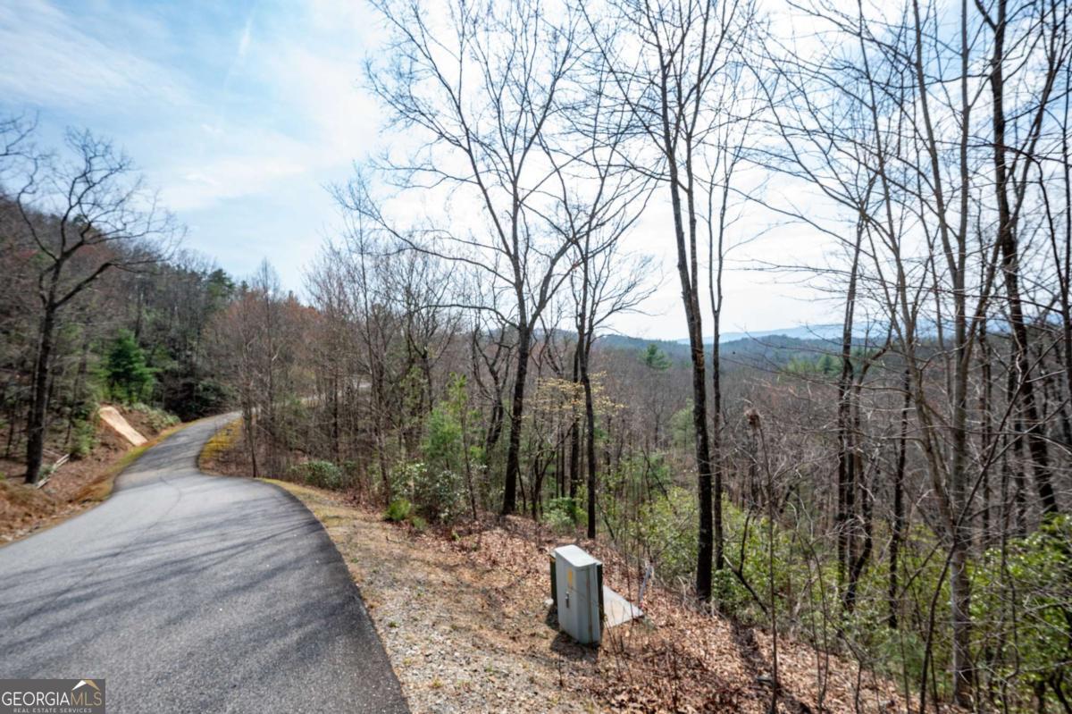 Lot 7 Oceola Drive Ellijay GA 30540