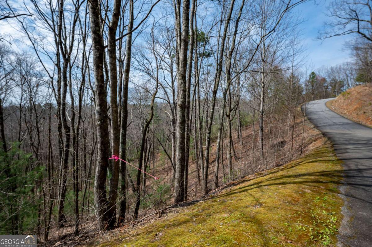 Lot 7 Oceola Drive Ellijay GA 30540