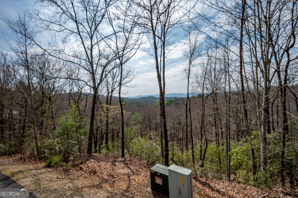 Lot 7 Oceola Drive Ellijay GA 30540