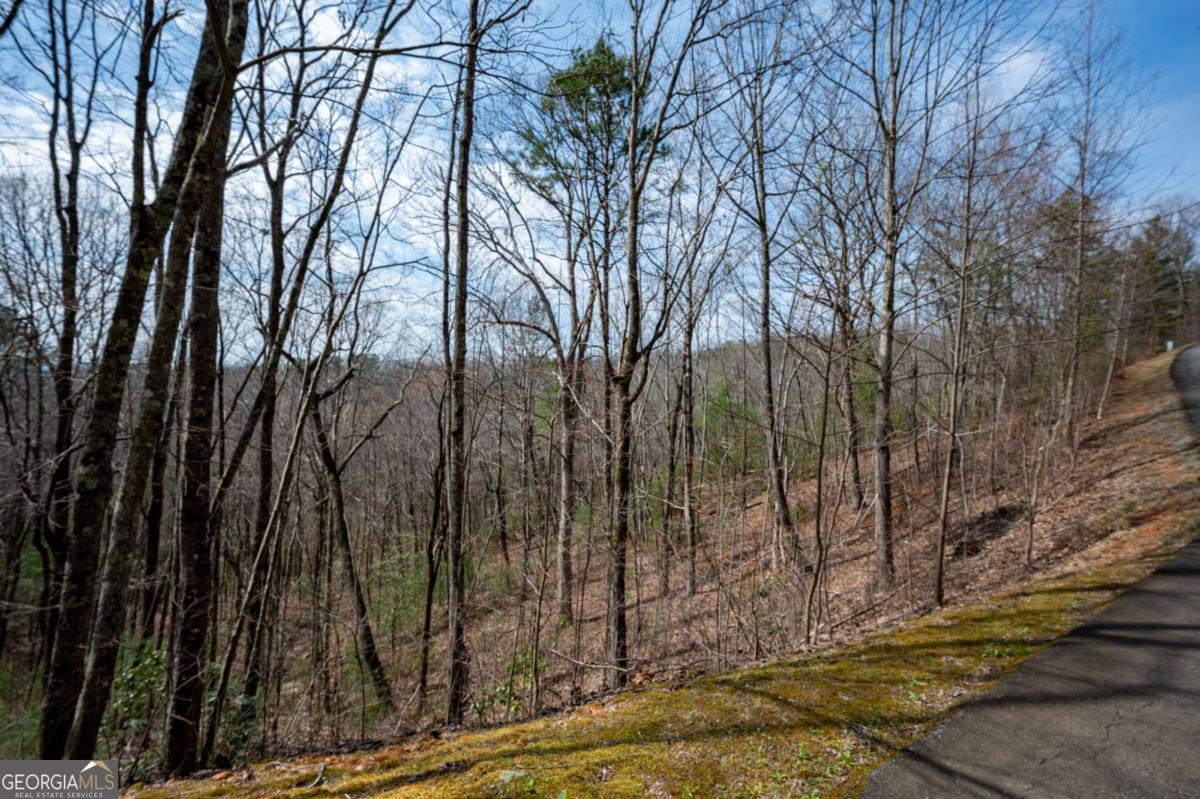 Lot 7 Oceola Drive Ellijay GA 30540