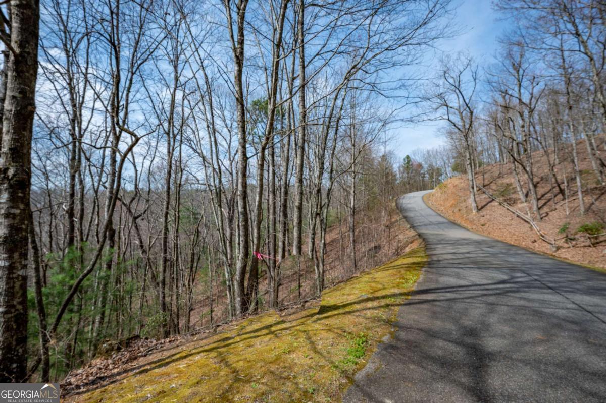 Lot 7 Oceola Drive Ellijay GA 30540