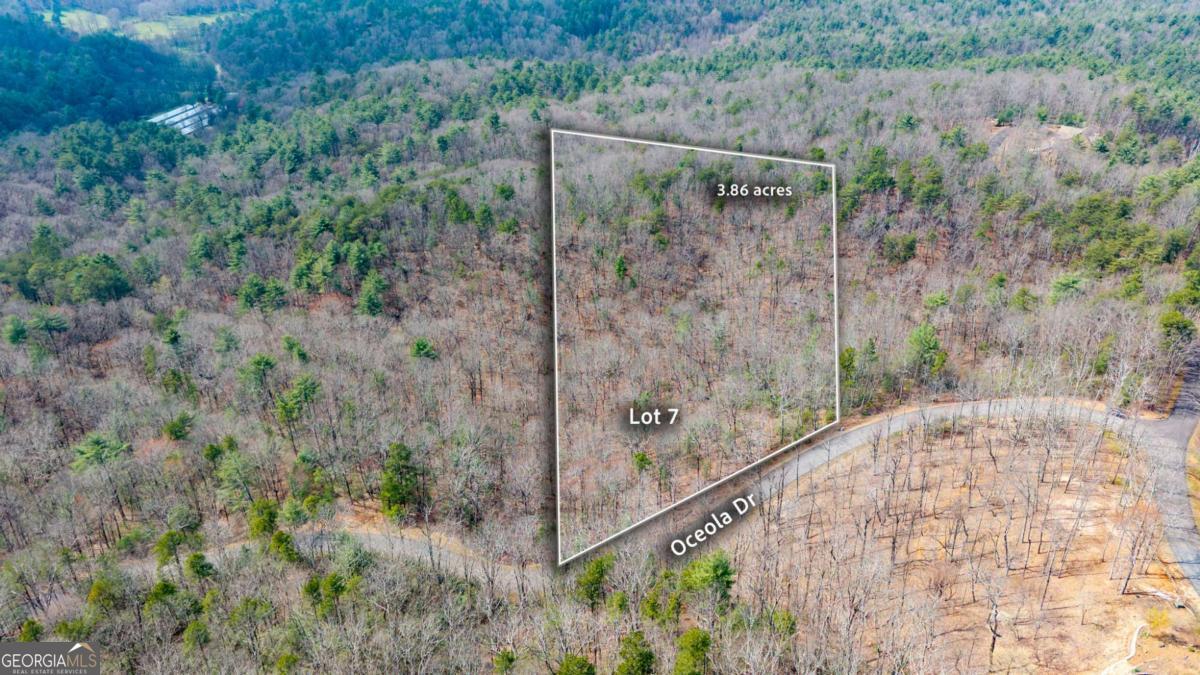 Lot 7 Oceola Drive Ellijay GA 30540