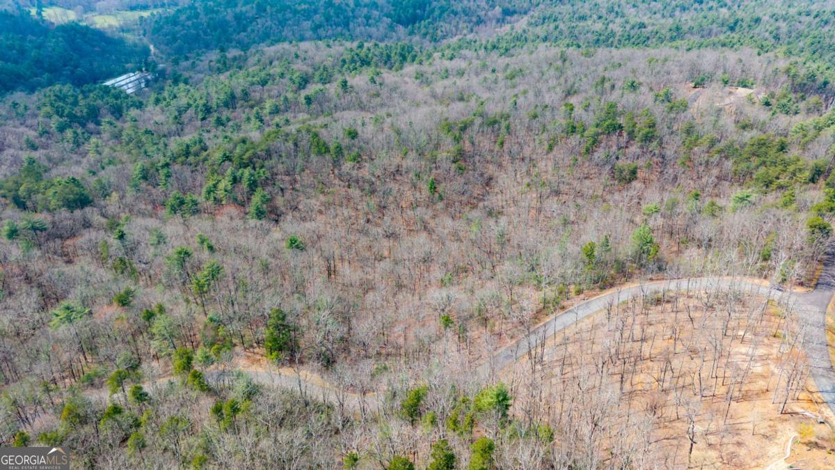 Lot 7 Oceola Drive Ellijay GA 30540