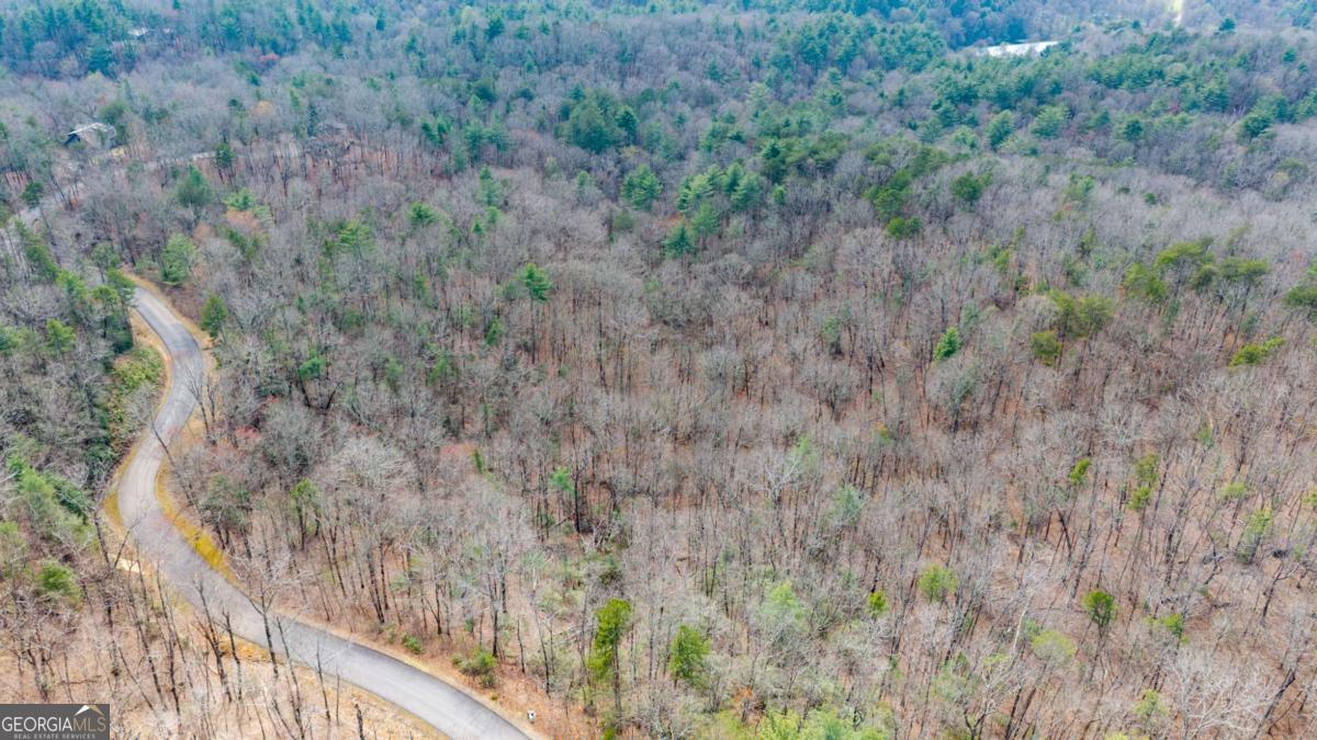 Lot 7 Oceola Drive Ellijay GA 30540