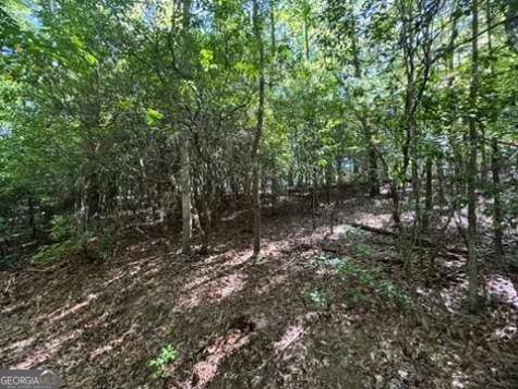 Lot 1 Laurelwood Circle Murphy NC 28906