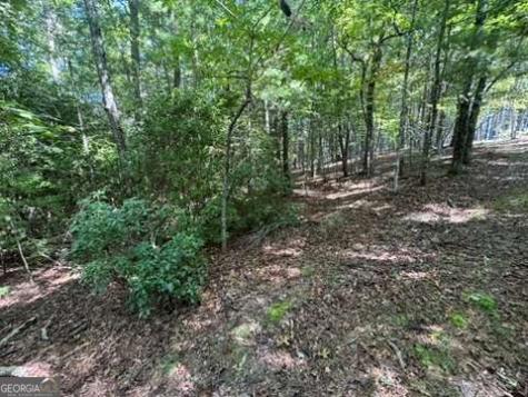 Lot 1 Laurelwood Circle Murphy NC 28906